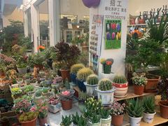 -双季花艺园艺市场(浦东店)