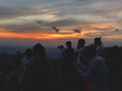 -武陵山森林公园