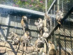 -泉州海丝野生动物世界