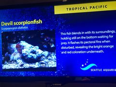 -西雅图水族馆