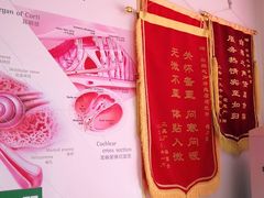 -自然之声助听器·呼吸机(保定清苑店)