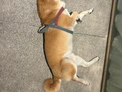 -三目仓咖啡(贤南路店)