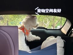 -龙湖重庆时代天街