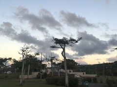-美国纪念公园