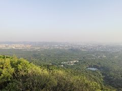 -紫金山山顶公园