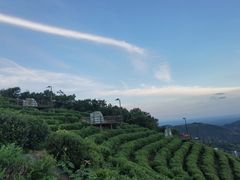 -长沙黑麋峰国家森林公园