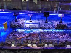 -渔民船说·北塘海鲜·天津菜·海肠捞饭(北塘古镇店)