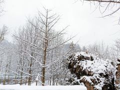 -山王坪喀斯特国家生态公园