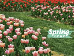 -上海辰山植物园