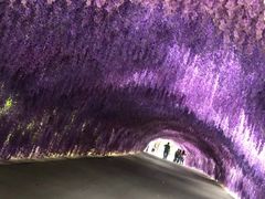 -河北省园博园