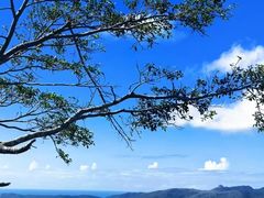 -三亚亚龙湾人间天堂鸟巢度假村