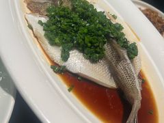 -千日贺茶餐厅(高新万达店)