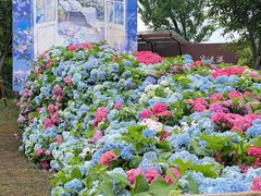 -武汉园博园(武汉自然博物馆)