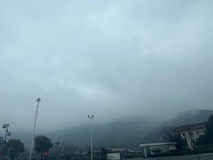 -鹅湖玫瑰文化园