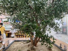 -东升灌浆包(辛庄街总店)