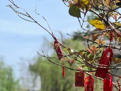 -沈坤状元府景区