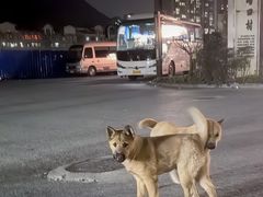 -路口村义和米粉店