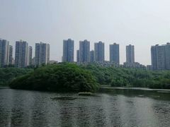 -重庆彩云湖湿地公园