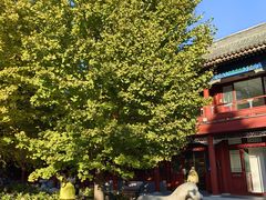 -北京石刻艺术博物馆(五塔寺)