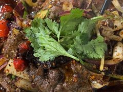 -小杨翘脚牛肉