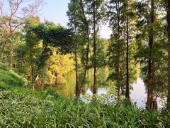 景点-星湖旅游景区七星岩