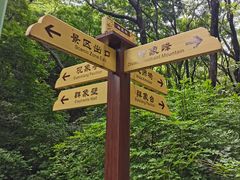 -老象峰