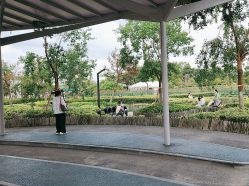 -季高兔窝窝亲子园(上海薰衣草公园店)