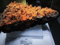 -湖南省地质博物馆