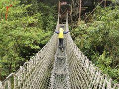 -南丹山森林王国