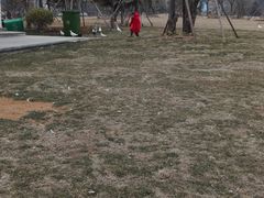 -在海一方公园