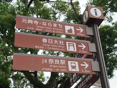 -奈良公园