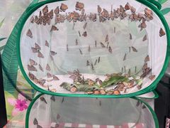 -南宫五洲植物乐园