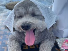 -安吉龙王山峡谷漂流