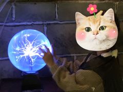 -郑州方特梦幻王国