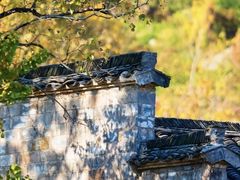 -塔川景区