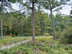-黑龙江省森林植物园