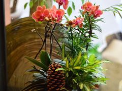 -杭州街角花屋花店(闻堰店)
