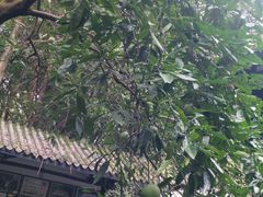 -王家渡火锅(三苏祠店)