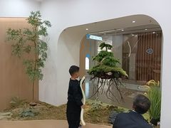 -学知乐教育·幼小衔接·小学科辅导(浦东外高桥森兰中心)