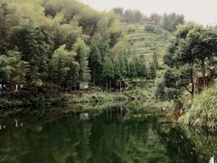 -布袋山风景区
