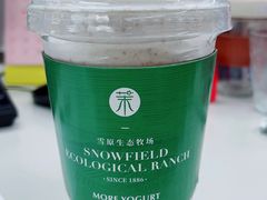 -茉酸奶(春熙路店)