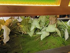 -宁邦·家宴·南京菜(红山动物园店)