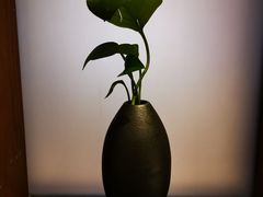 -九华山聚龙大酒店