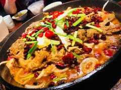 -老板恋上鱼(高新万达店)