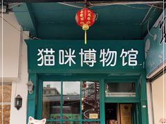 -猫咪博物馆(顶澳仔猫街店)