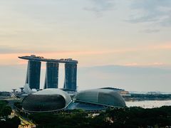 -新加坡瑞士史丹福酒店