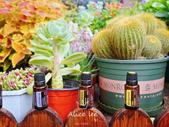 -IFIF 如果花園(宽厚里店)