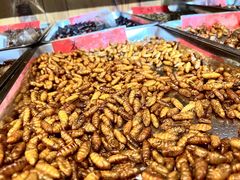 -昆虫窝子·特色云南菜(拓东路总店)