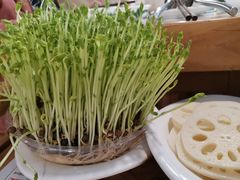 -广顺鑫猪肚鸡(经八路店)