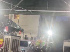 -霞姐屯昌枫木香草鸭店(海螺店)